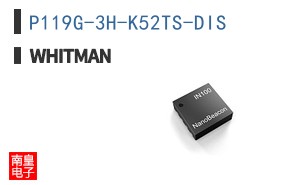 P119G-3H-K52TS-DIS ͼƬ